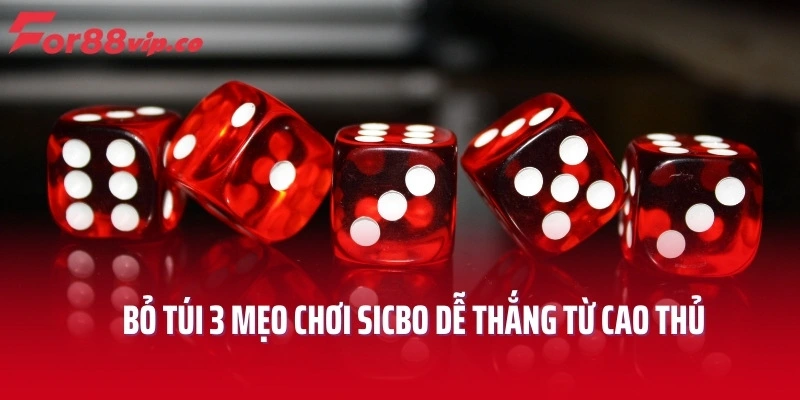 Bỏ túi 3 mẹo chơi Sicbo dễ thắng từ cao thủ